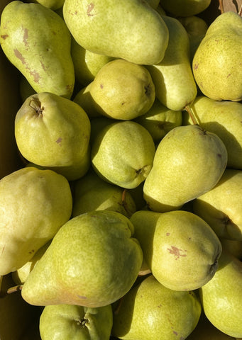 Bartlett Pears