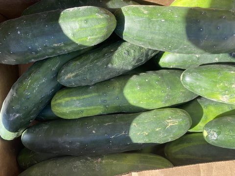 Cucumbers