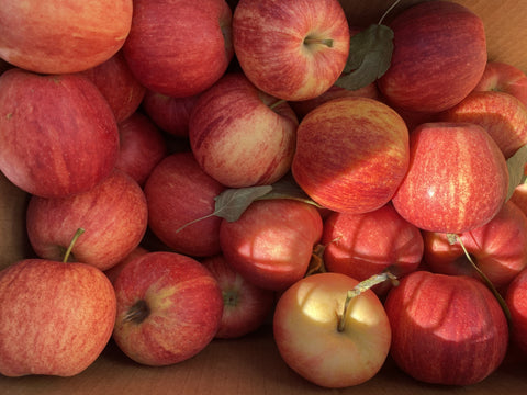 Gala Apples