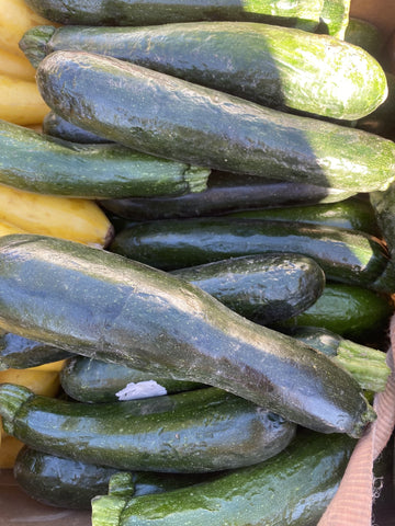 Zucchini